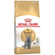 Royal Canin British Shorthair 