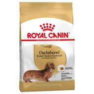 Royal Canin Dachshund Adult Tørrfôr til hund 