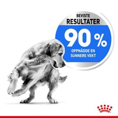 Royal Canin Light Weight Care Maxi Tørrfôr til hund