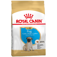 Royal Canin Pug Puppy Tørrfôr til valp 