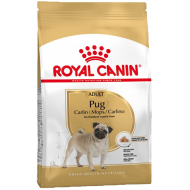 Royal Canin Pug Adult Tørrfôr til hund 