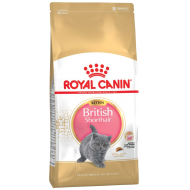 Royal Canin Kitten British Shorthair 