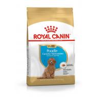Royal Canin Poodle Junior Tørrfôr til valp 