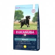 Eukanuba Active Adult Large Breed Tørrfôr til hund 