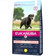 Eukanuba Tørrfôr for Senior Store Hunderaser 
