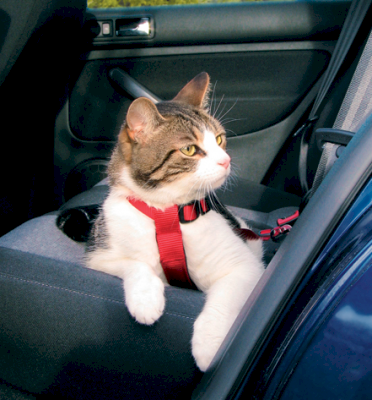 Trixie Sikkerhetssele til katt