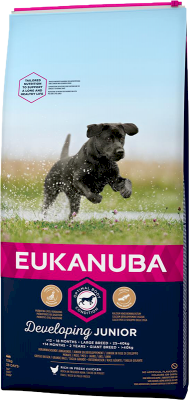 Eukanuba Dog Developing Junior Large Breed Chicken