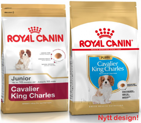 Royal Canin Cavalier King Charles Puppy Tørrfôr til valp