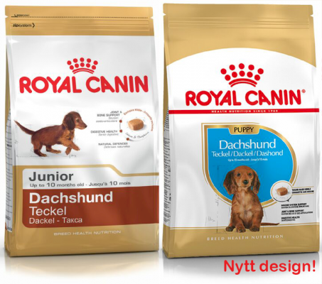 Royal Canin Dachshund Puppy Tørrfôr til valp