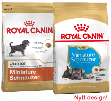 Royal Canin Miniature Schnauzer Puppy Tørrfôr til valp