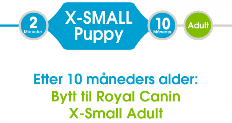 Royal Canin X-Small Puppy Tørrfôr til valp