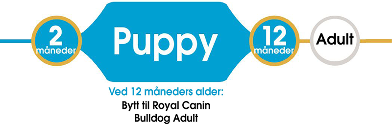 Royal Canin French Bulldog Junior Tørrfôr til valp