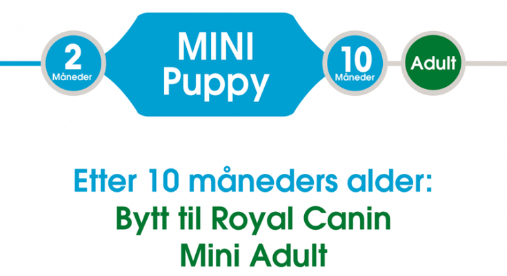 Royal Canin Mini Puppy Tørrfôr til valp