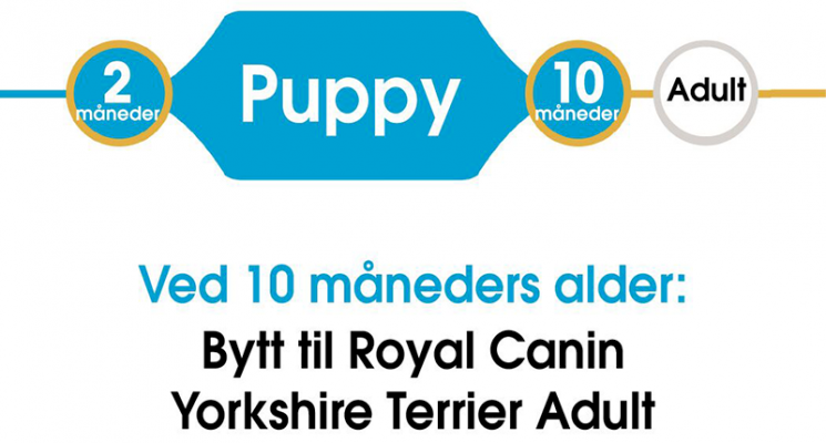 Royal Canin Yorkshire Terrier Puppy Tørrfôr til valp