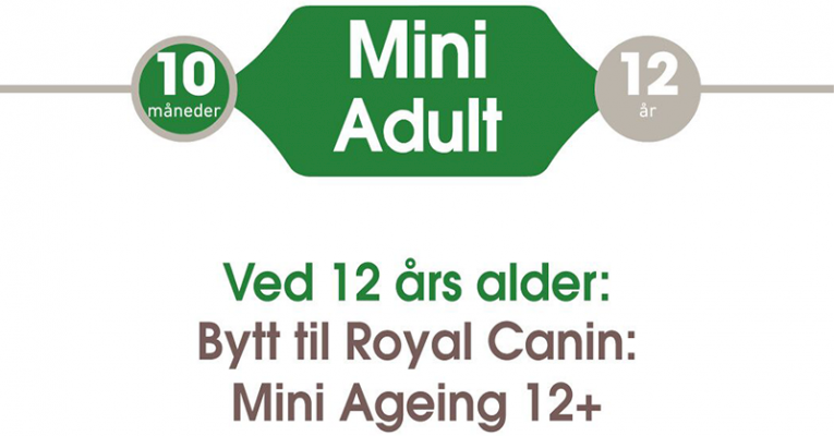 Royal Canin Mini Adult Tørrfôr til hund