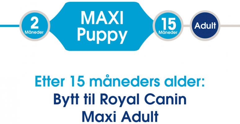 Royal Canin Maxi Puppy Tørrfôr til valp
