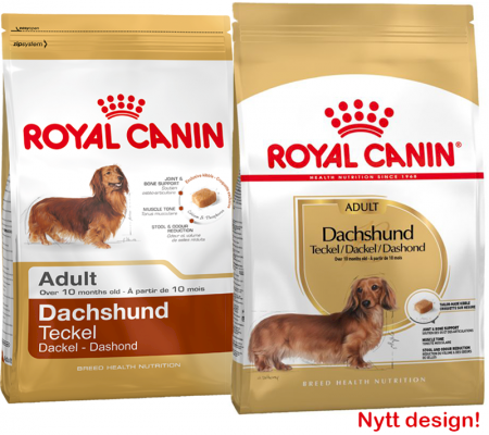 Royal Canin Dachshund Adult Tørrfôr til hund