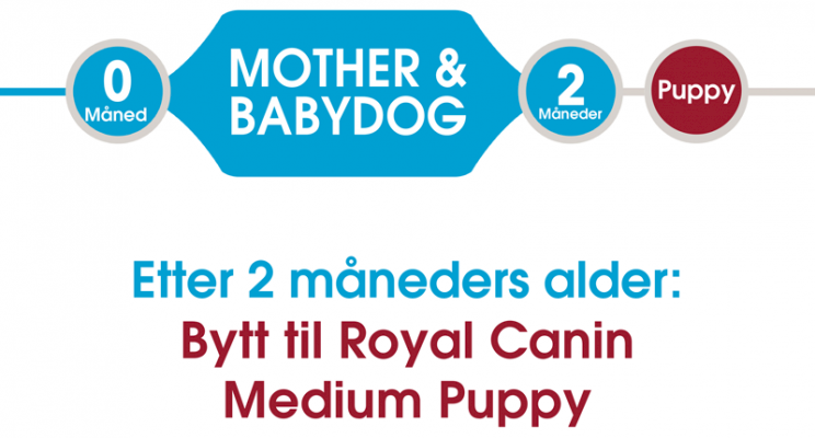 Royal Canin Medium Starter Mother & Babydog Tørrfôr til hund