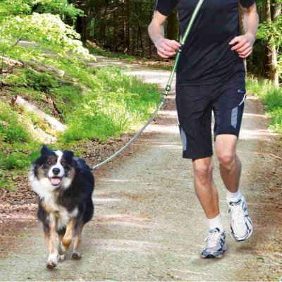 Trixie Hundekobbel for Jogging Grå/Grønn