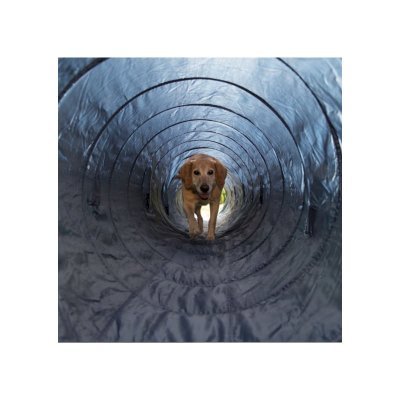 Trixie Agility Tunnel