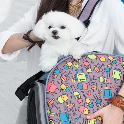 Ibiyaya Sammenleggbar Reiseveske til Hund og Katt