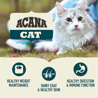 Acana Cat Bountiful Catch Tørrfôr til voksen og senior katt