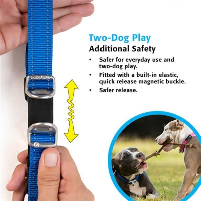 Rogz Safety Utility Halsbånd til hund Blå