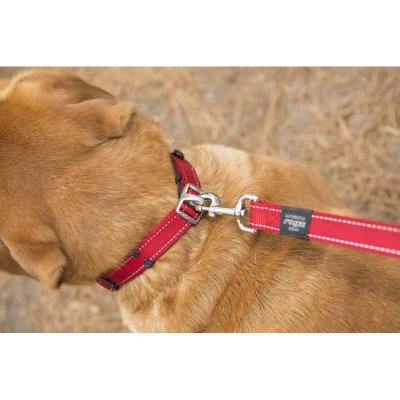 Rogz Safety Utility Halsbånd til hund Rød