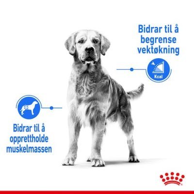 Royal Canin Light Weight Care Maxi Tørrfôr til hund