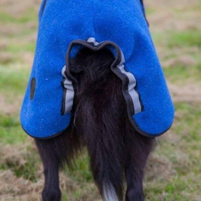 Canelana Lana 100% ull dekken hund blå