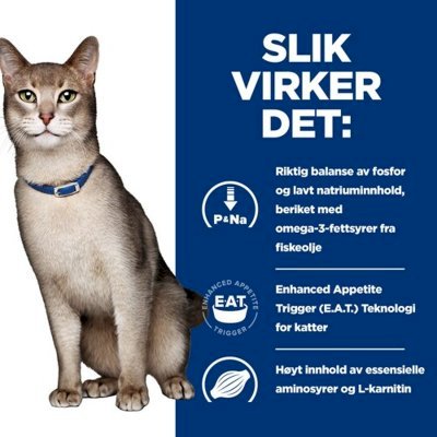 Hill's Prescription Diet k/d våtfôr til katt med oksekjøtt