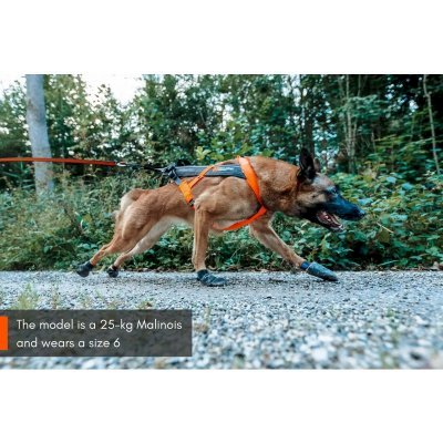 Non-Stop Dogwear Freemotion 5.0 Hundesele Svart/Oransje