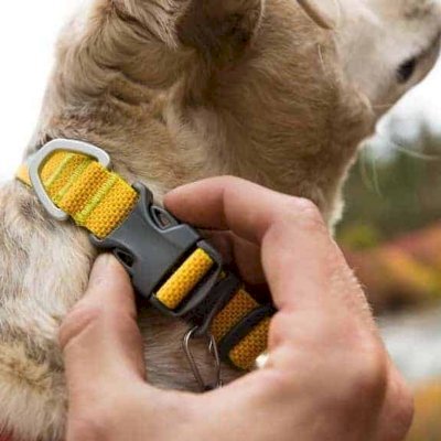 Ruffwear Hi & Light Dog Collar Lichen Green Halsbånd til hund