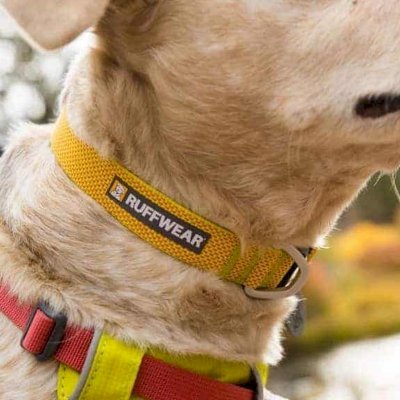 Ruffwear Hi & Light Dog Collar Sage Green Halsbånd til hund