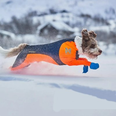 Non-Stop Dogwear Protector Snow Hundedekken Hannhund