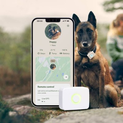 Lilcat Lildog GPS-tracker til hund