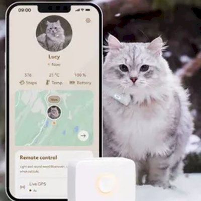 Lilcat GPS-tracker til katt